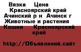 Вязка. › Цена ­ 1 500 - Красноярский край, Ачинский р-н, Ачинск г. Животные и растения » Кошки   . Красноярский край